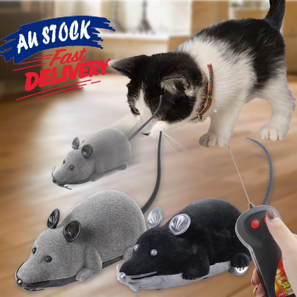 rc mouse